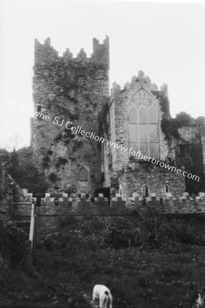 TINTERN ABBEY S.TRANSEPT 